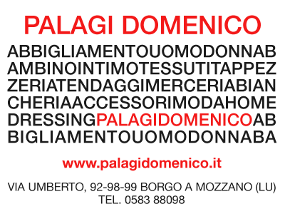 Palagi Domenico